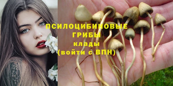 ПСИЛОЦИБИНОВЫЕ ГРИБЫ Алексеевка